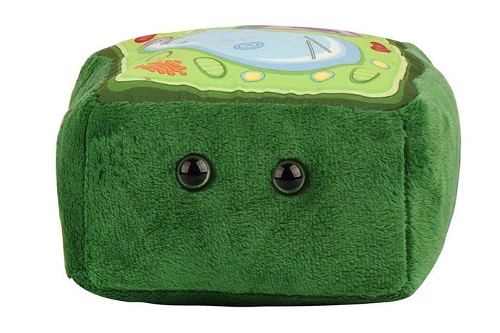 GIANT MICROBES plant cell plush cell membrane offers a tangible look at boundaries in biology.
