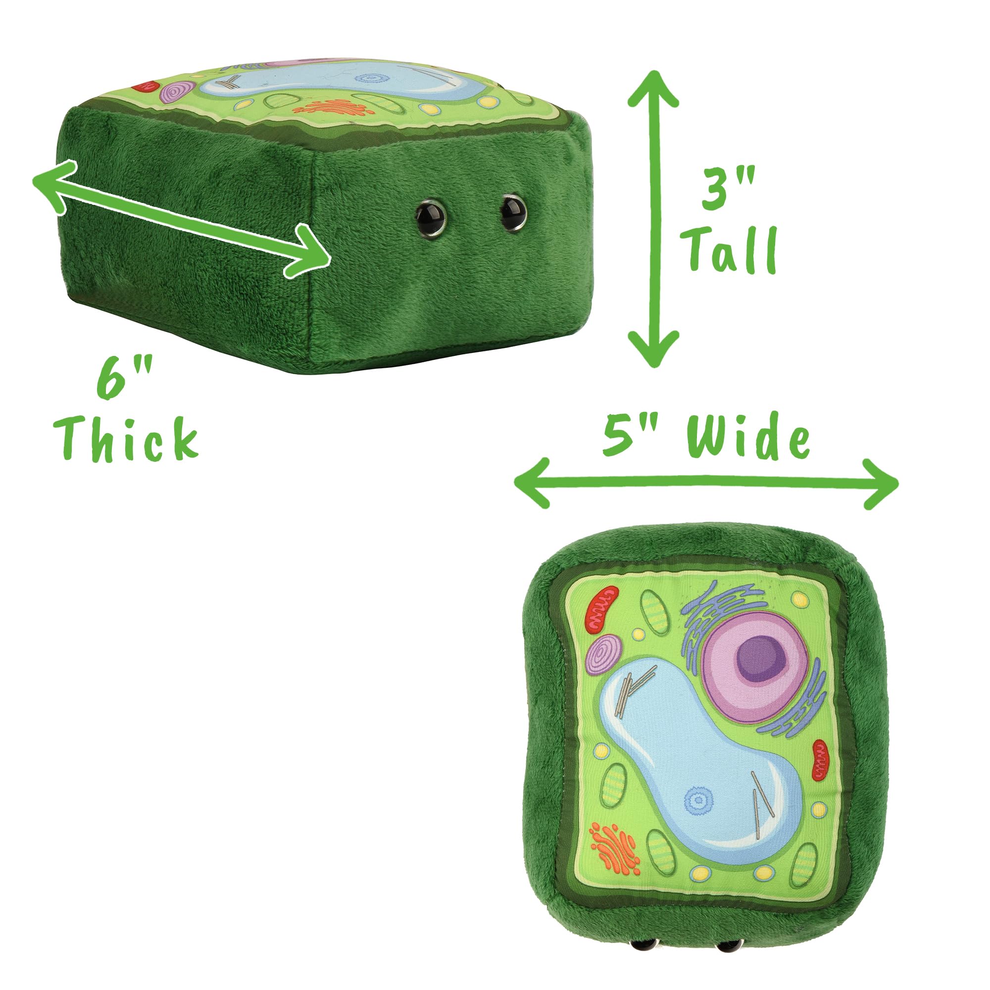 GIANT MICROBES plant cell plush chloroplasts ideal for plant biology demonstrations and study aids.
