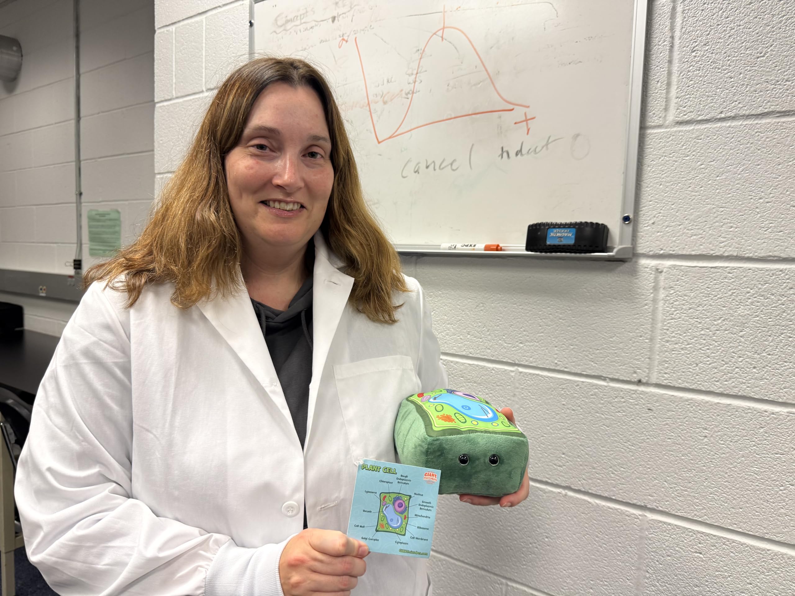 GIANT MICROBES plant cell plush endoplasmic reticulum visualizes cell pathways in class.