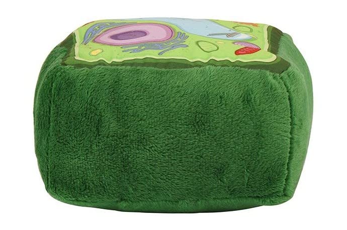 GIANT MICROBES plant cell plush ribosomes help illustrate protein synthesis in classroom experiments.