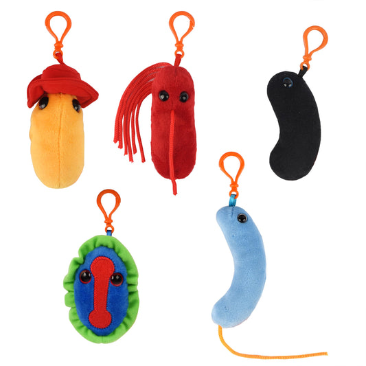 GIANT MICROBES smallpox keychain closeup, tactile history symbol for science fans