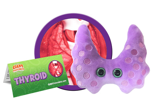 GIANT MICROBES Thyroid Plush on a desk with information card for easy learning