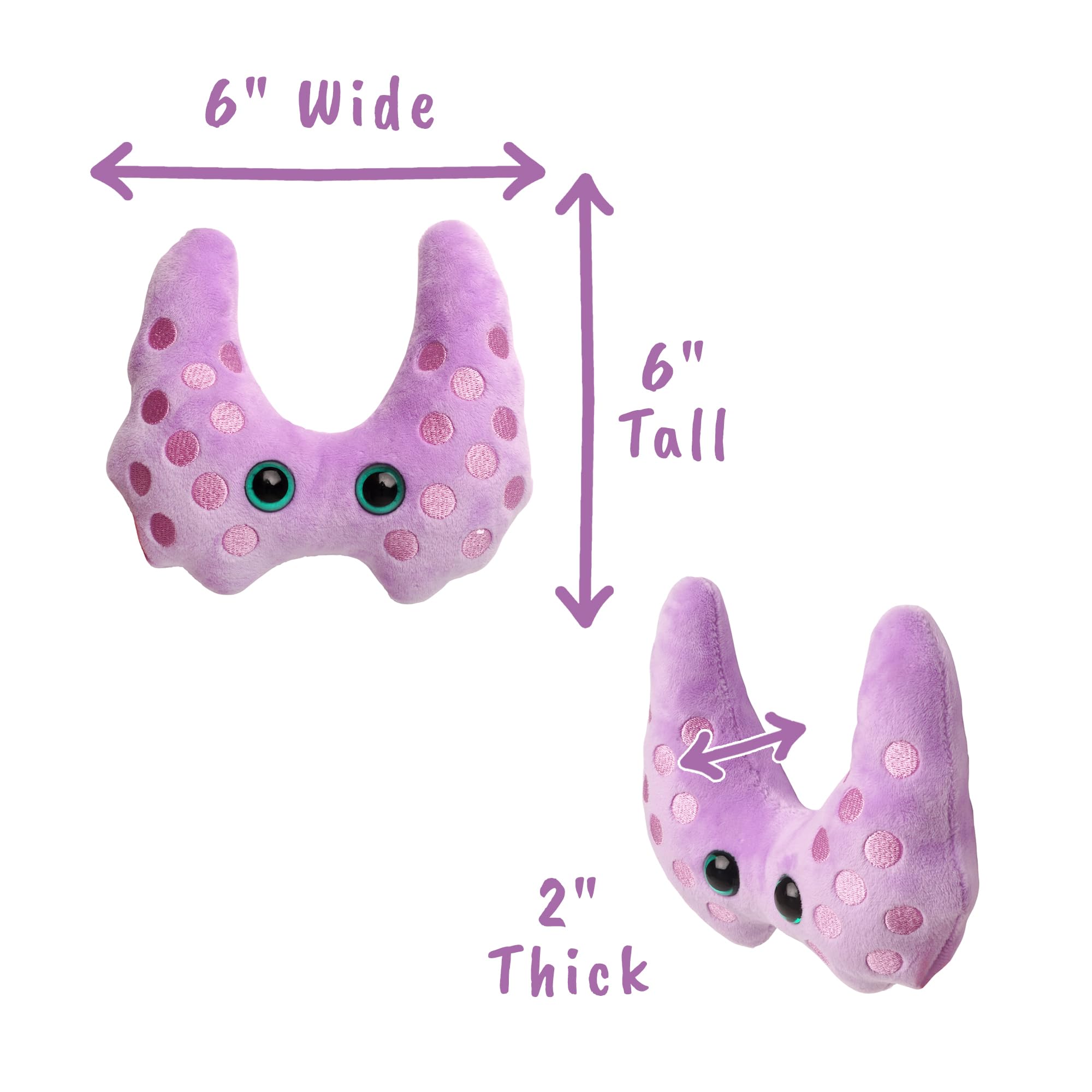 GIANT MICROBES Thyroid Plush used in a kid-friendly anatomy learning setup