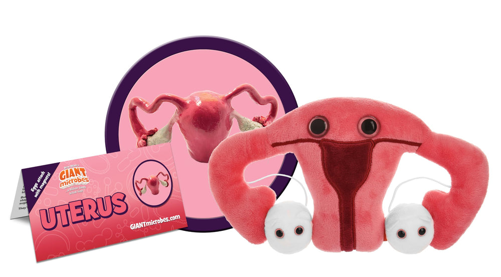 GIANT MICROBES uterus plush with magnetically attachable ovaries enables hands-on exploration.
