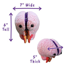 GIANTMICROBES Brain Model includes an illustrated diagram for quick review