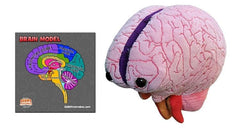 GIANTMICROBES Brain Model halves opened to reveal internal anatomy for hands-on learning
