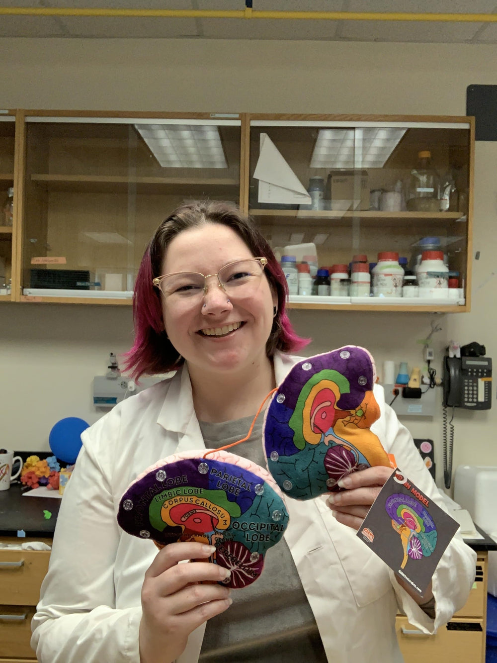 GIANTMICROBES Brain Model supports classroom demonstrations and discussions