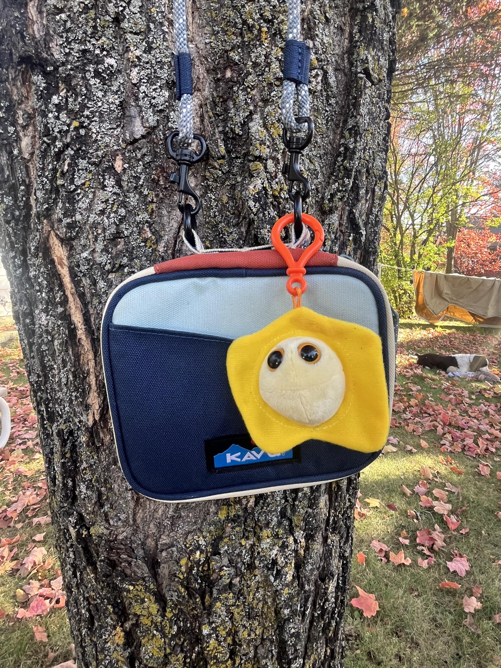 GIANTMICROBES gonorrhea plush keychain, a fun, discreet study aid.