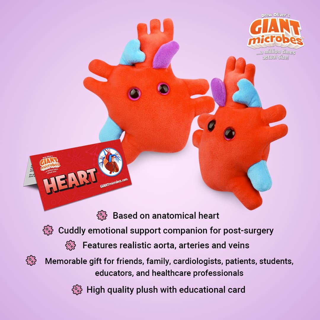 GIANTMICROBES Heart Plush embroidery close-up of arteries and veins