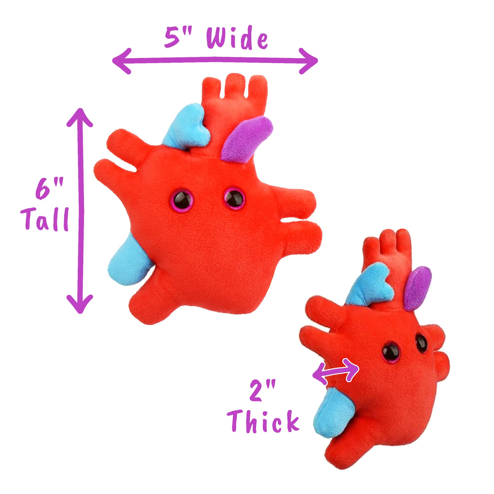 GIANTMICROBES Heart Plush includes information card for learning facts