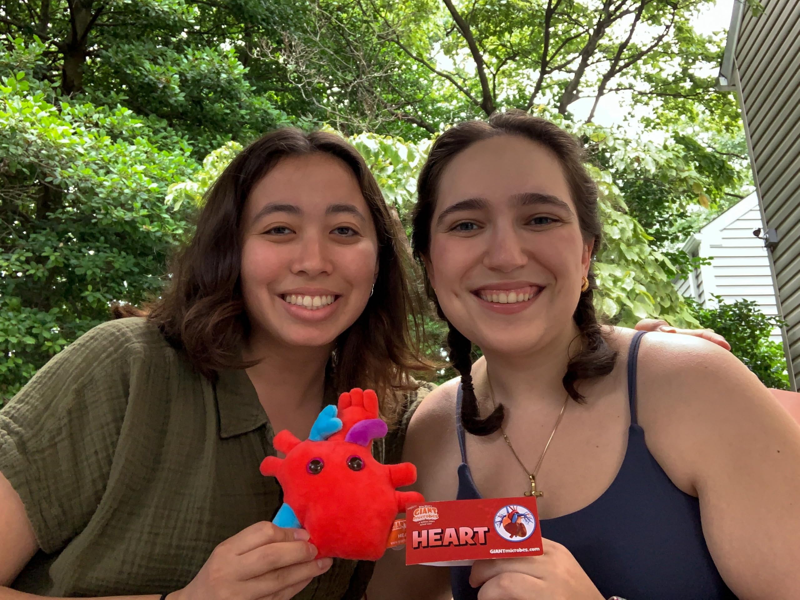 GIANTMICROBES Heart Plush with medical students as a teaching aid