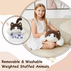 GILFWM weighted-cat-elegant-box-gift-ready packaging enhances gifting.
