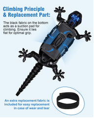 Givzan ready-to-play gecko set with remote and cable