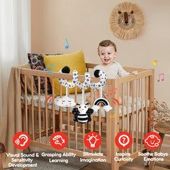 GKDOMS high-contrast design supports early visual tracking.