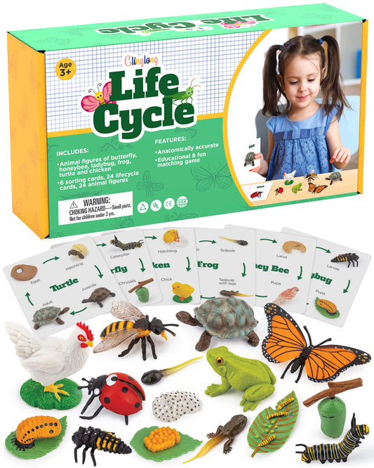 GLINGLONG life cycle butterfly figure for hands-on learning and sequencing activities