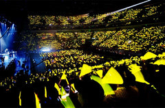 Glow Fever Party Favors spark conversations and festive vibes.