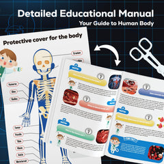 GobiDex 40-piece anatomy kit enables comprehensive bones, muscles, and organs study.