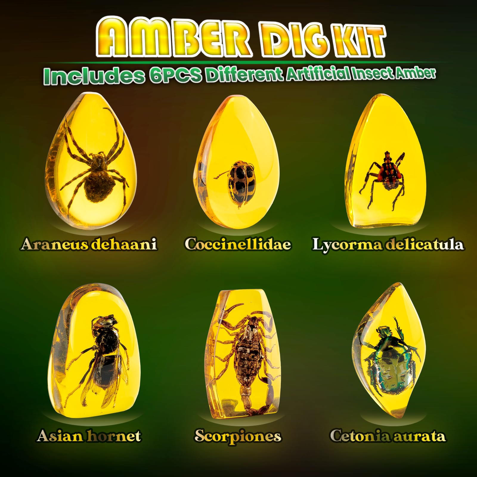 GobiDex Amber Dig Kit artificial insect ambers offer engaging geology exploration
