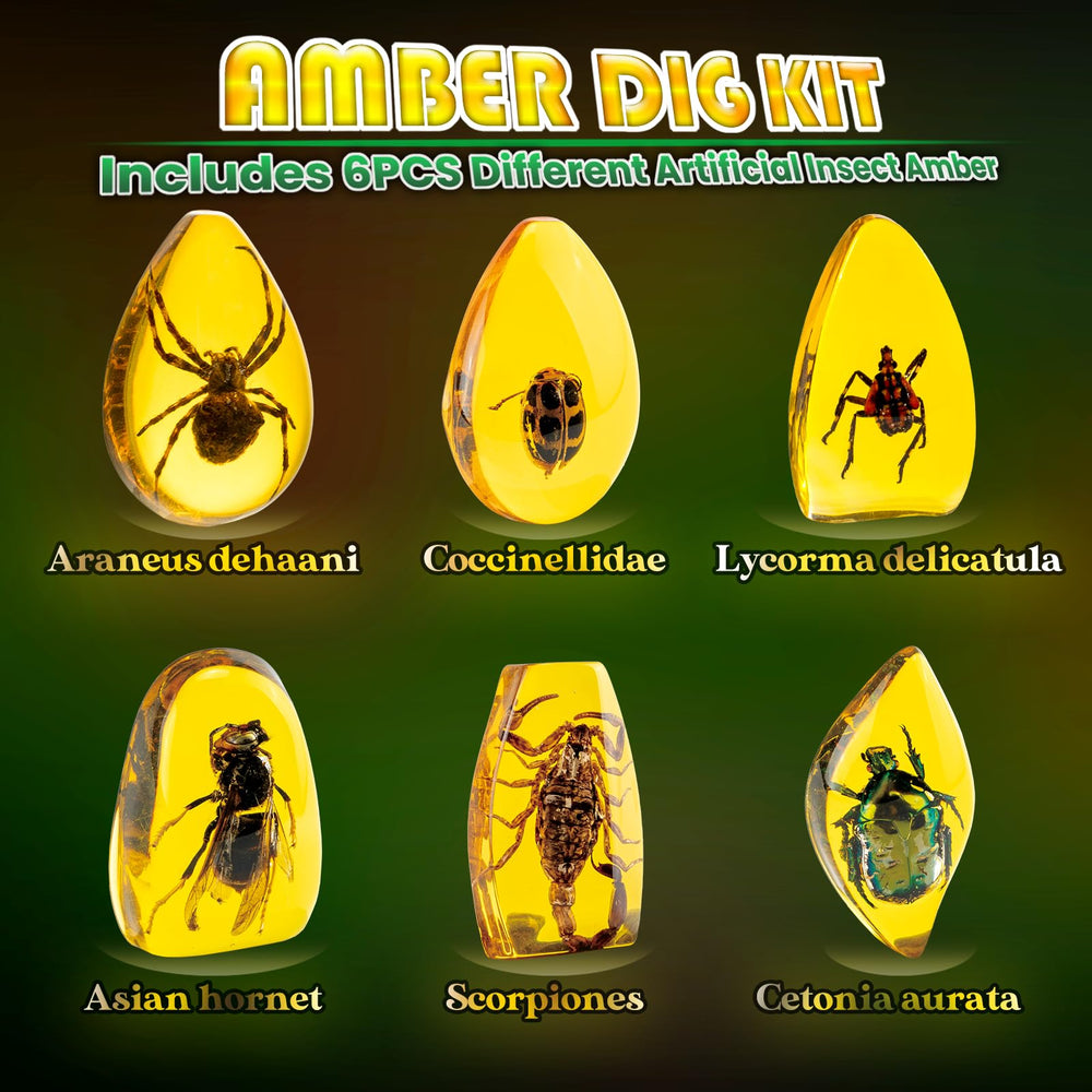 GobiDex Amber Dig Kit artificial insect ambers offer engaging geology exploration