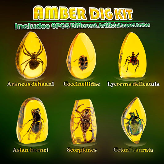 GobiDex Amber Dig Kit artificial insect ambers offer engaging geology exploration