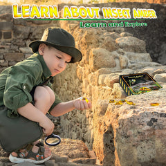 GobiDex Amber Dig Kit collection display encourages proud, organized science keepsakes