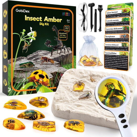 GobiDex Amber Dig Kit excavation tools enable hands-on science play