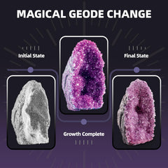GobiDex Geodes crystal clusters formed after the crystal growth activity.