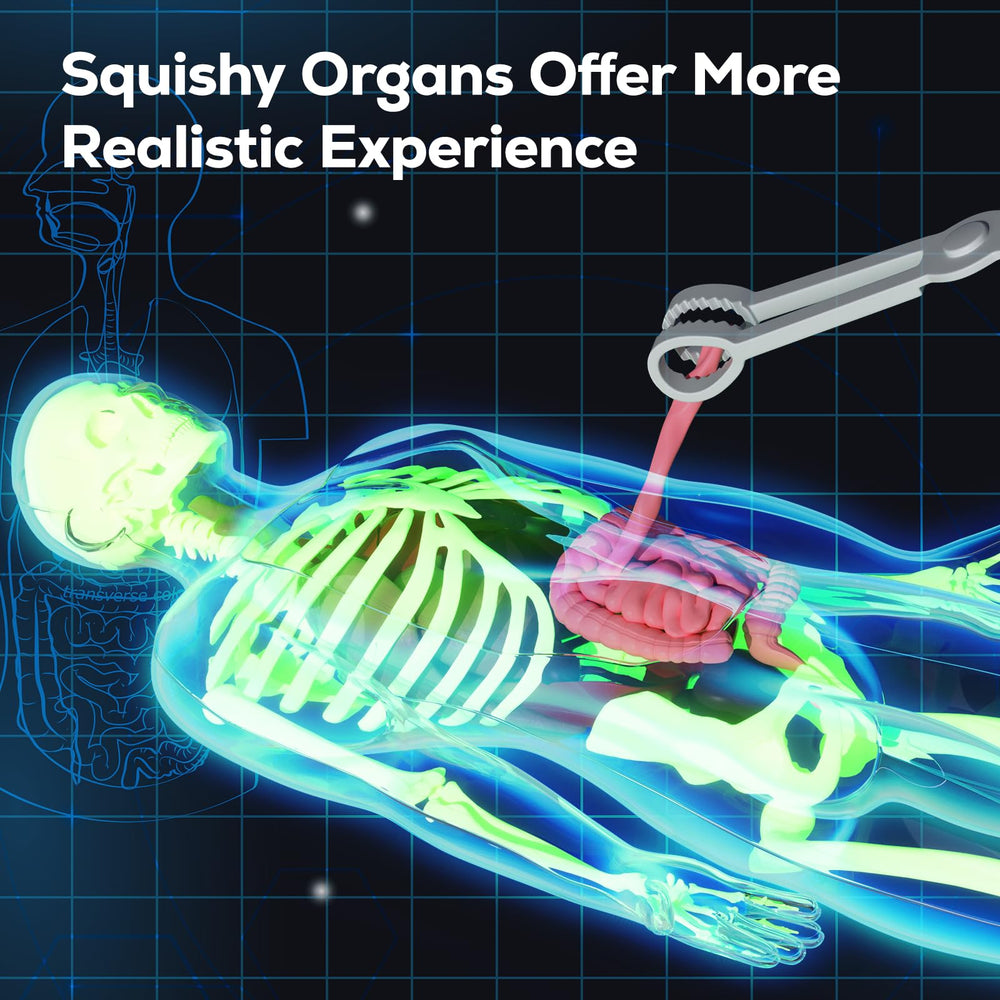 GobiDex illustrated science manual supports interactive anatomy lessons.