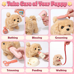 Golray pet care set with bottle and kennel for realistic grooming.
