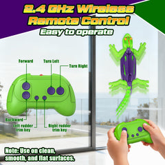 Goody King dual-surface crawler climbs walls and floors for dynamic play.
