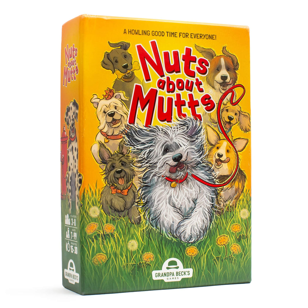 Grandpa Beck's Nuts About Mutts cards spread for quick family play