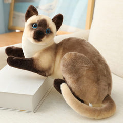 GUDVES Siamese cat gift-ready packaging concept