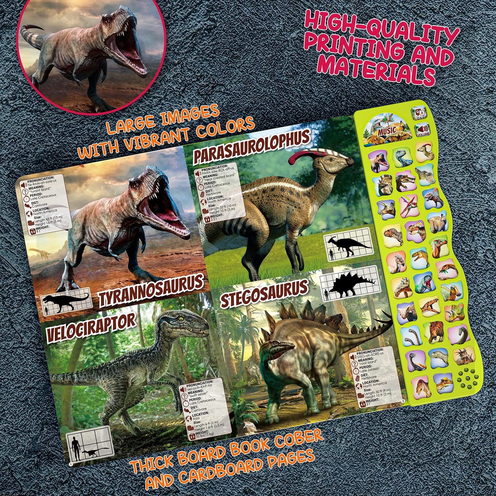 Gzsbaby stickers add hands-on creativity during dinosaur learning