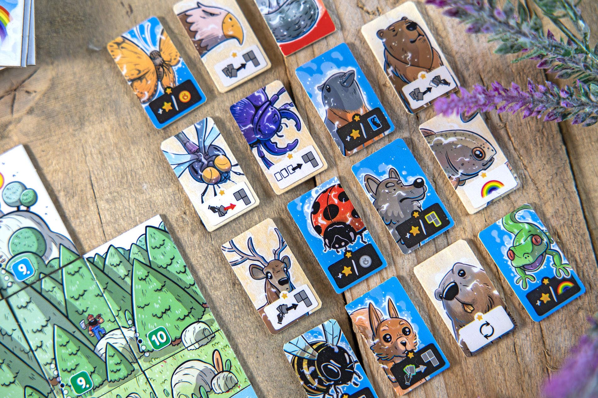 Hachette Solstis compact box keeps game ready for travel adventures.