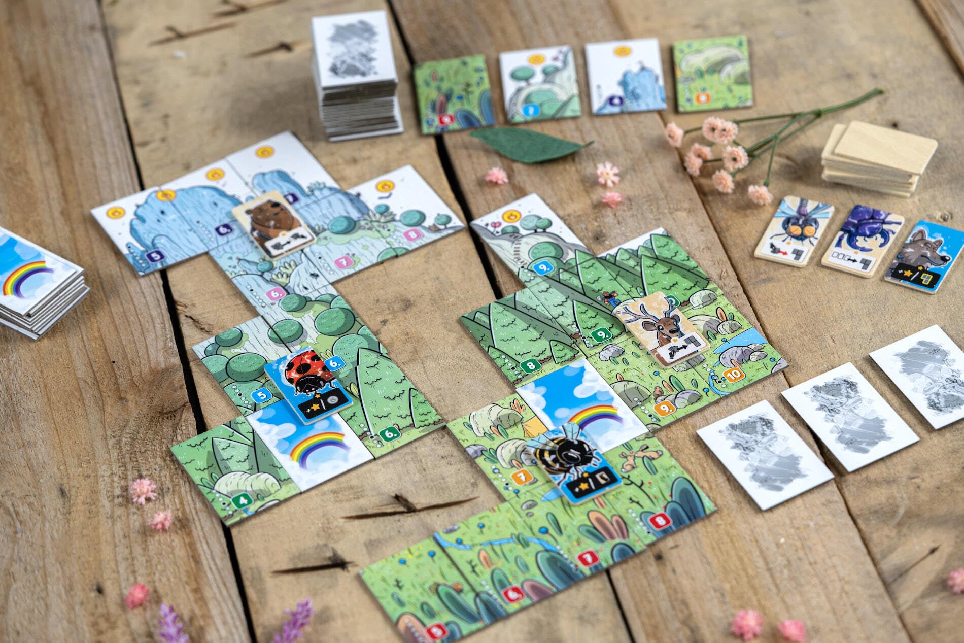 Hachette Solstis tile draft captures strategic decision moments during game setup at home.