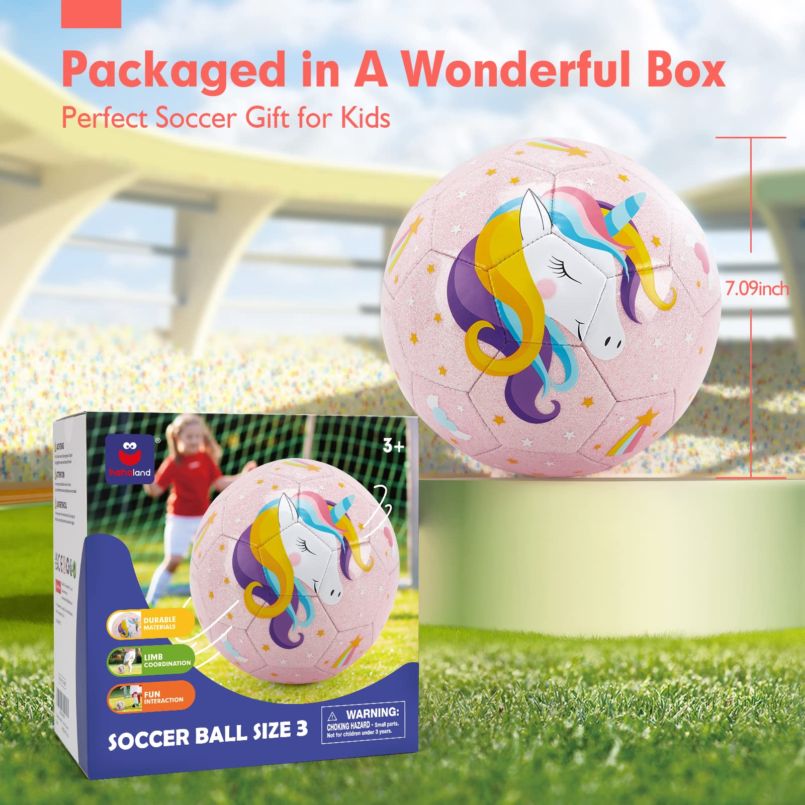 Hahaland packaging ships deflated with pump and bag for easy gifting.