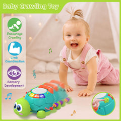 Hanayo turtle teaches letters and numbers with colorful lights.