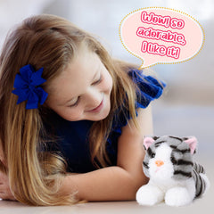 Harrycle gift-ready cat plush, ideal for thoughtful presents.