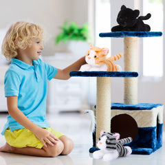 Harrycle packaging vacuum image shows easy storage and transit.