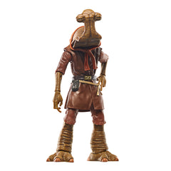 Premium deco and likeness for shelf display with other Black Series figures