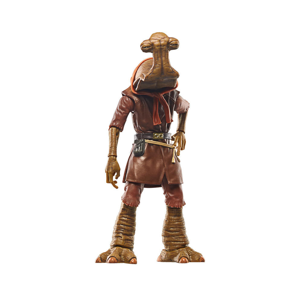 Hasbro Star Wars The Black Series Momaw Nadon front view figure with movie-accurate deco