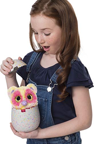 Hatchimals Mystery box contents ready for immediate, imaginative play