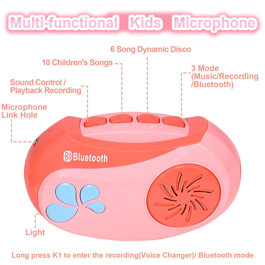 HAYXUN karaoke machine voice changer feature adds fun to performances