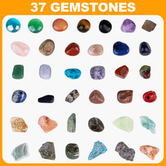 Hayxun display stand showcases favorite discoveries for an organized rock collection.