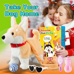HCdoujoy Corgi gift pack ideal for birthdays and holiday gifting.
