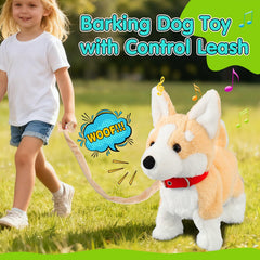 HCdoujoy Corgi with leash design guiding a child-friendly walk-along activity.