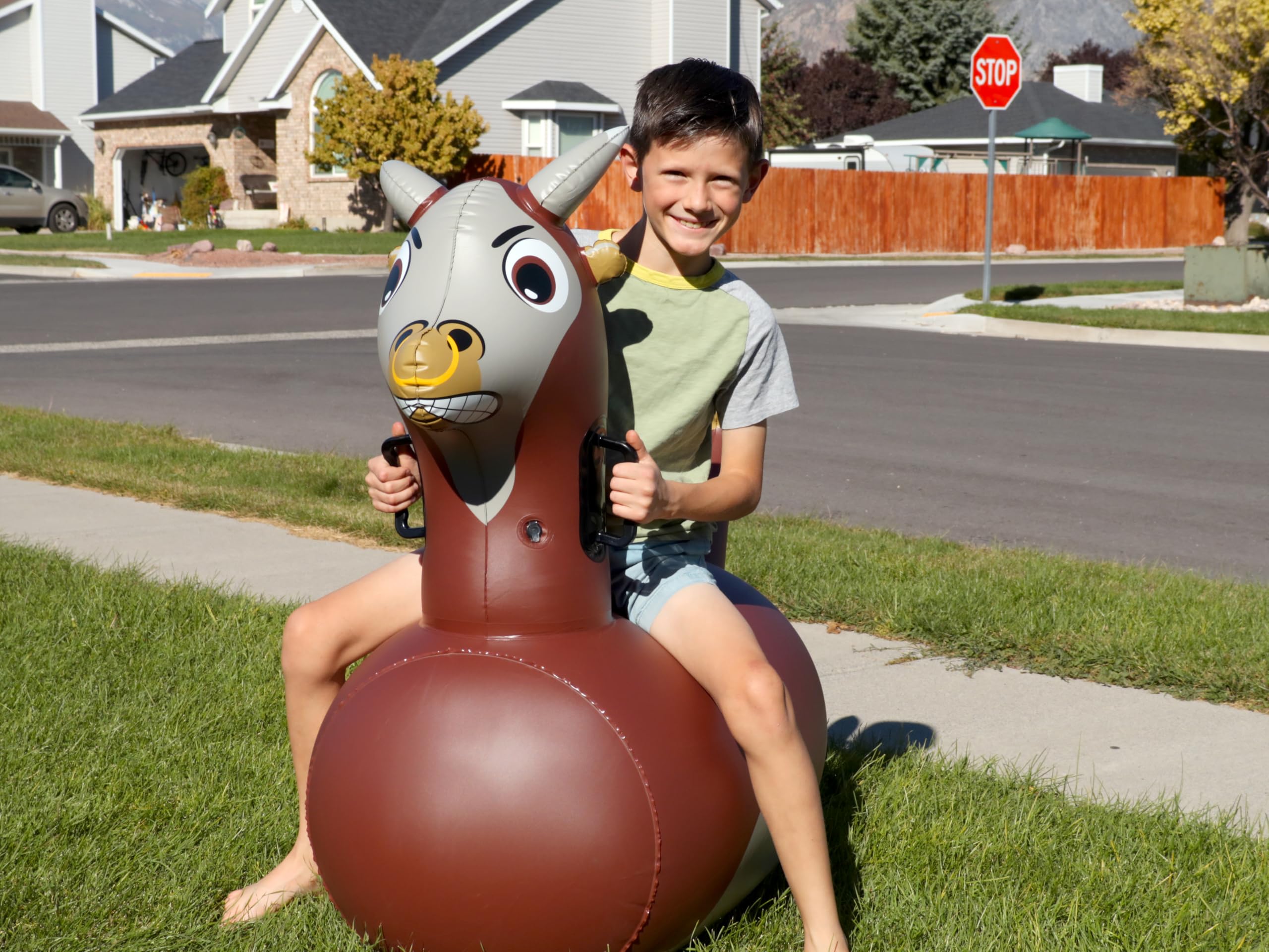 HearthSong portable kid bouncer enables easy transport to parks and playdates.