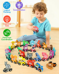 Helsort Montessori-inspired toy supports STEM-like exploration and cognitive development.