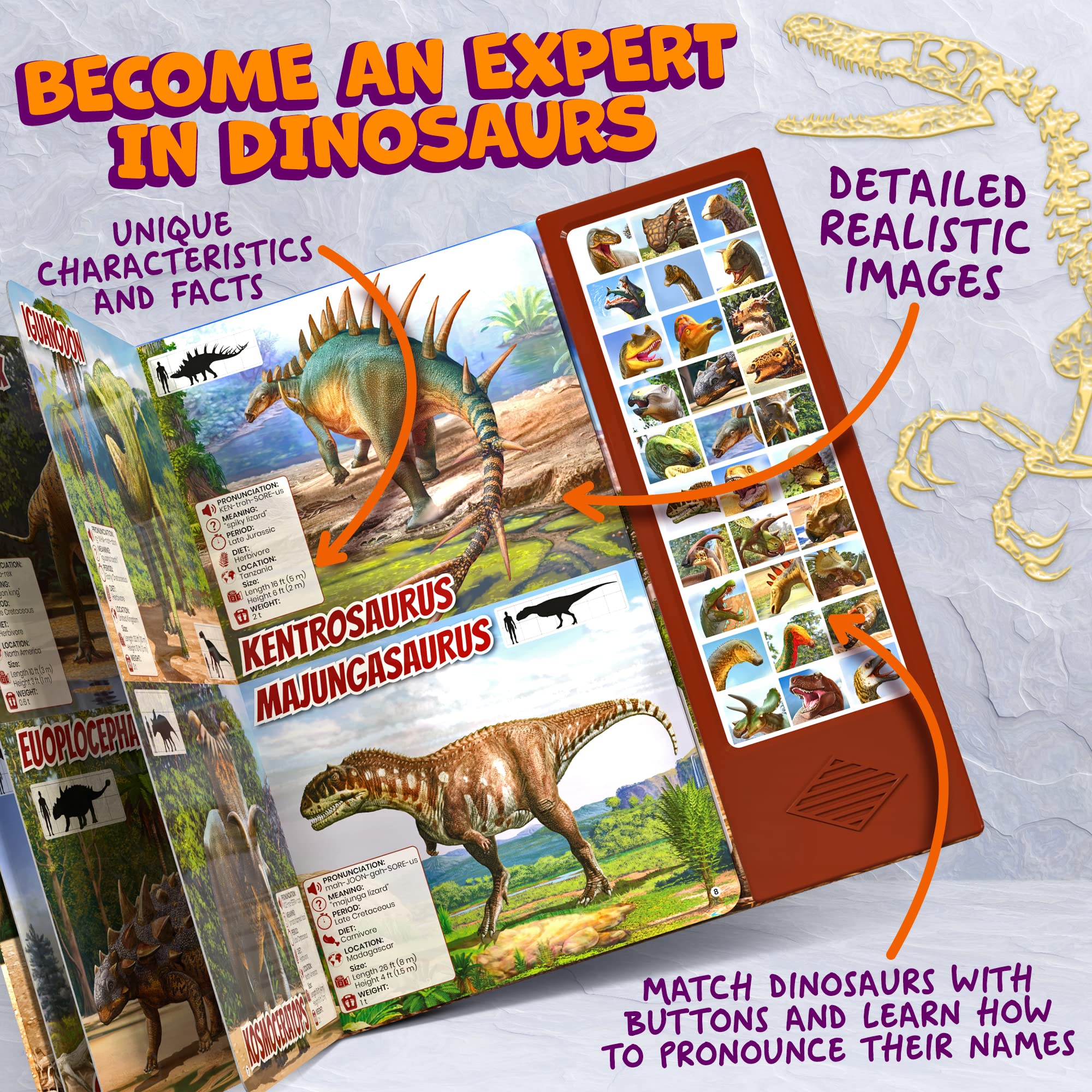 Hemalleon 30-dinosaur species chart helps kids learn names and facts.