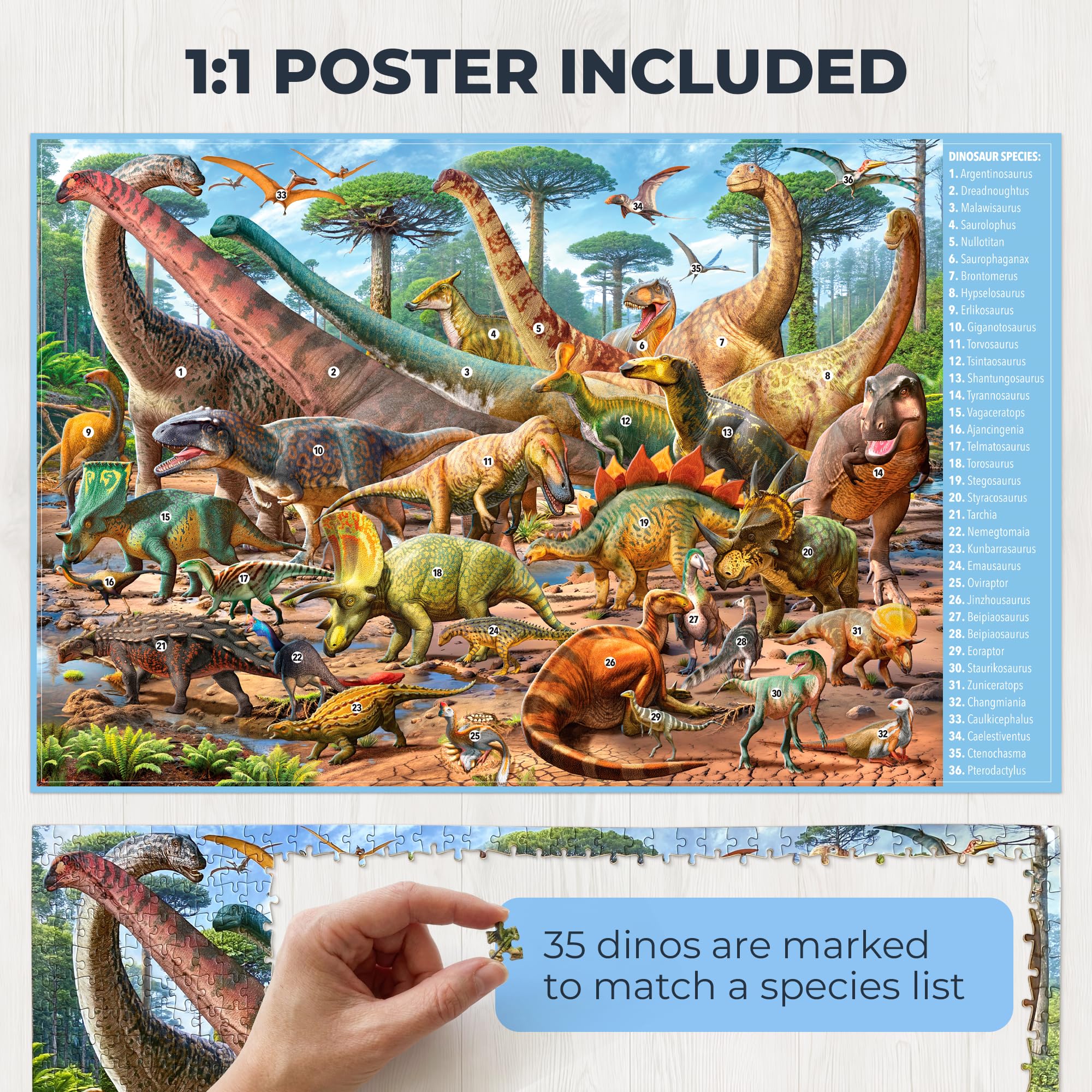 Hemalleon hand drawn paleoart provides an authentic dinosaur illustration for engaging solving